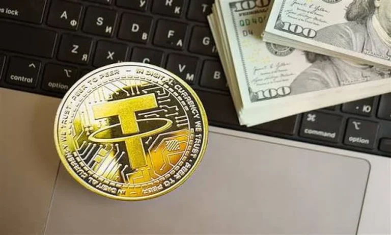 What is a Bear Market in Crypto? Indian Investors Guide